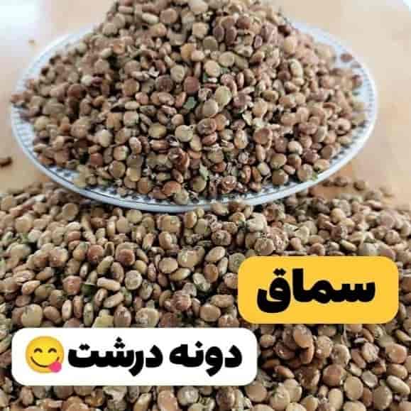 السماق الخشن